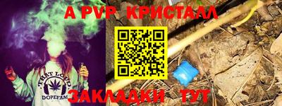 apvp Кунгур