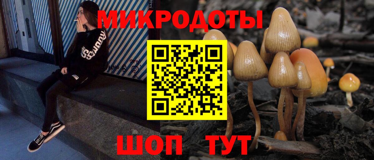 Знаменск  Галлюциногенные грибы мицелий  Вход с VPN 
